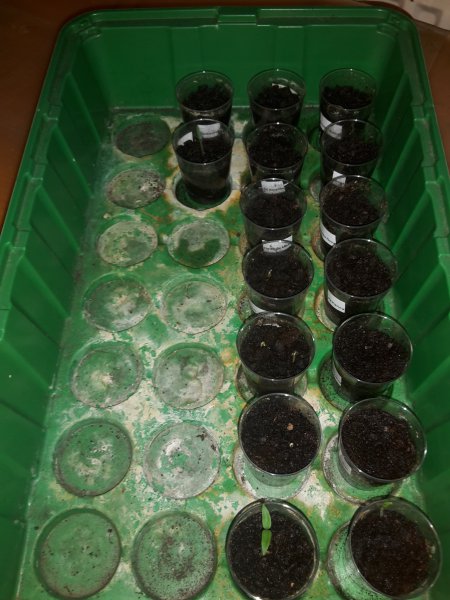 full