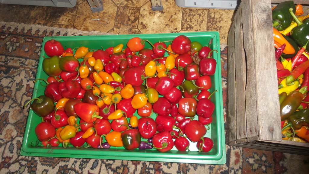 full