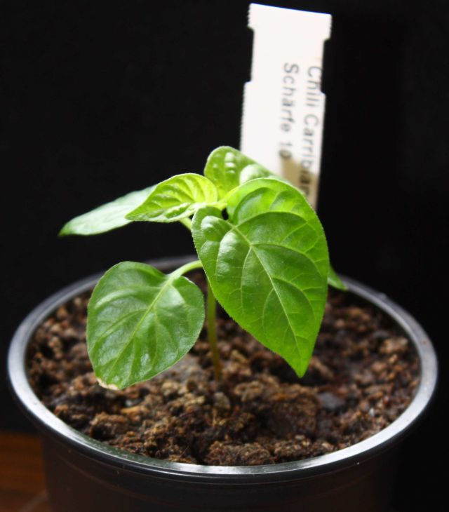 01.05.2010.jpg