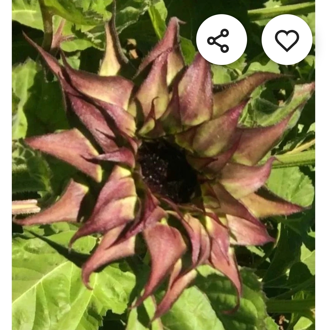 1000021027.jpg