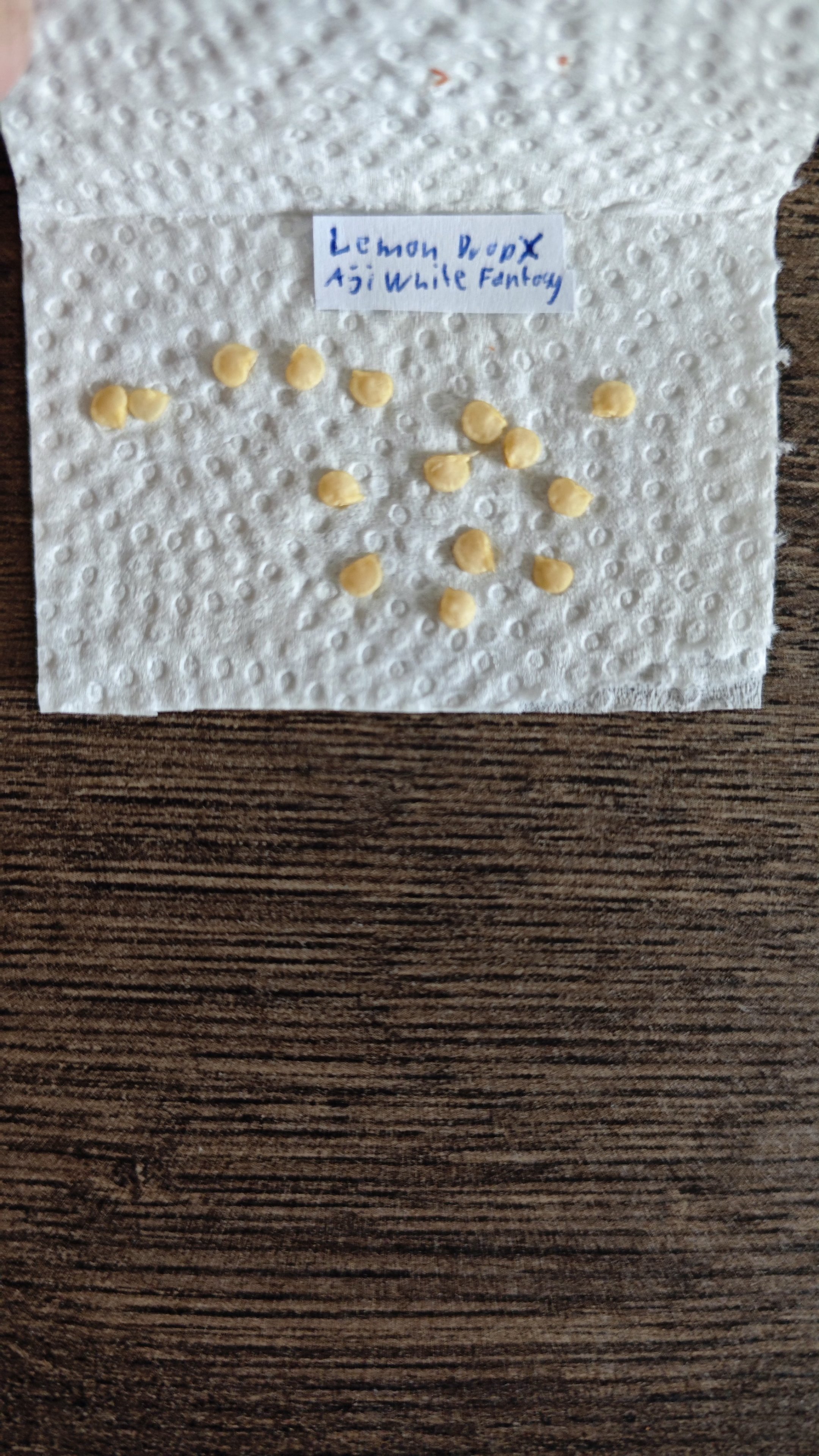 1000043054.jpg