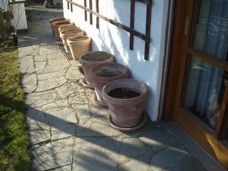 10Tomatentöpfeweb.jpg