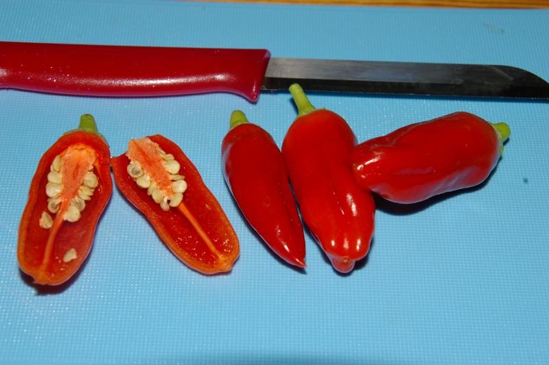 13cajamarca.JPG