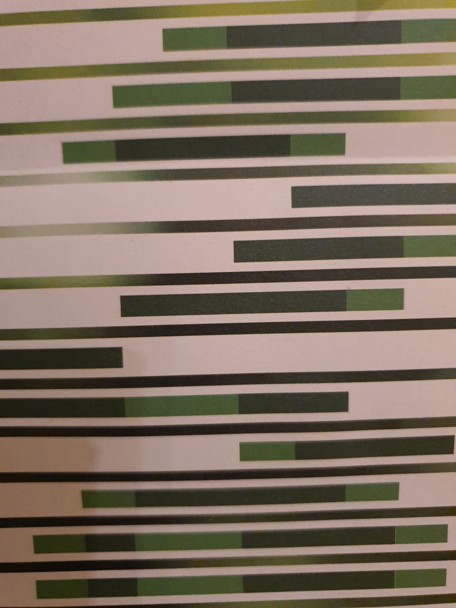 15989002709435378924885783247231.jpg