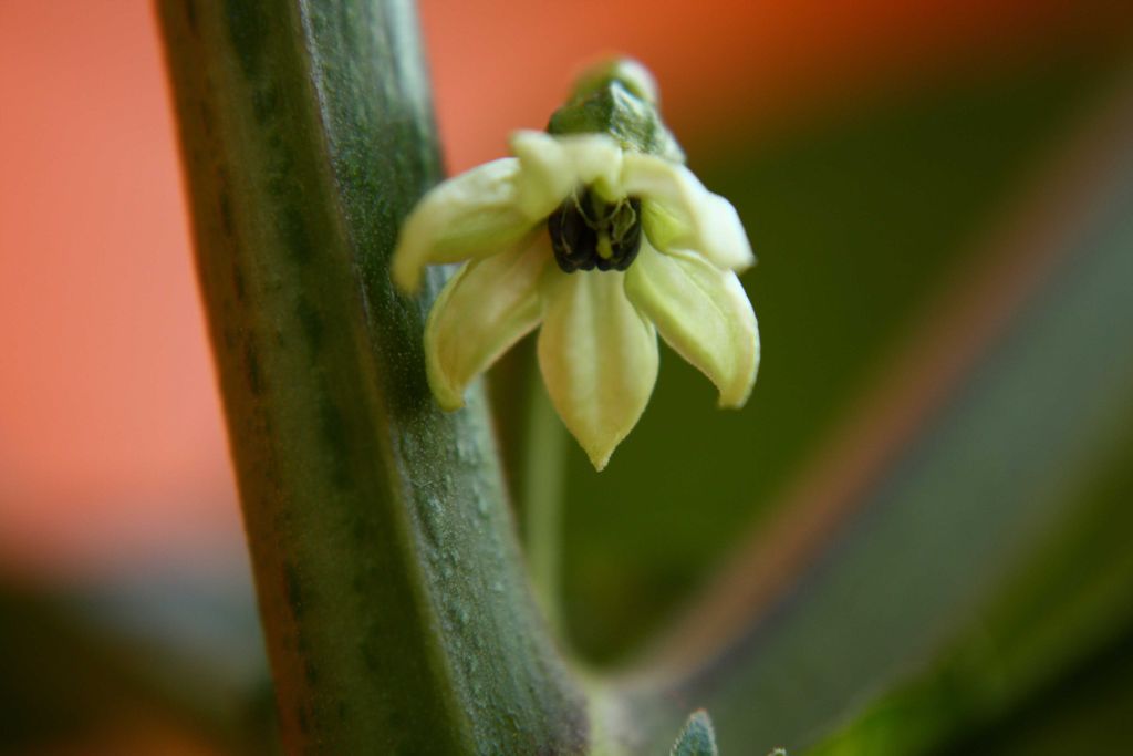 2010.06.24.jpg