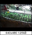 2011-03-0417.04.32fxe6.jpg