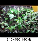 2011-03-0417.22.42rz3q.jpg