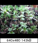 2011-03-0417.22.5139sd.jpg