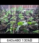 2011-03-0417.23.01ryqs.jpg