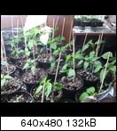 2011-03-0417.23.067yke.jpg