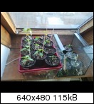 2011-03-0417.23.13k9u8.jpg