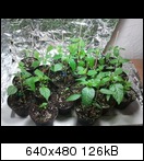 2011-03-0417.23.32gzib.jpg