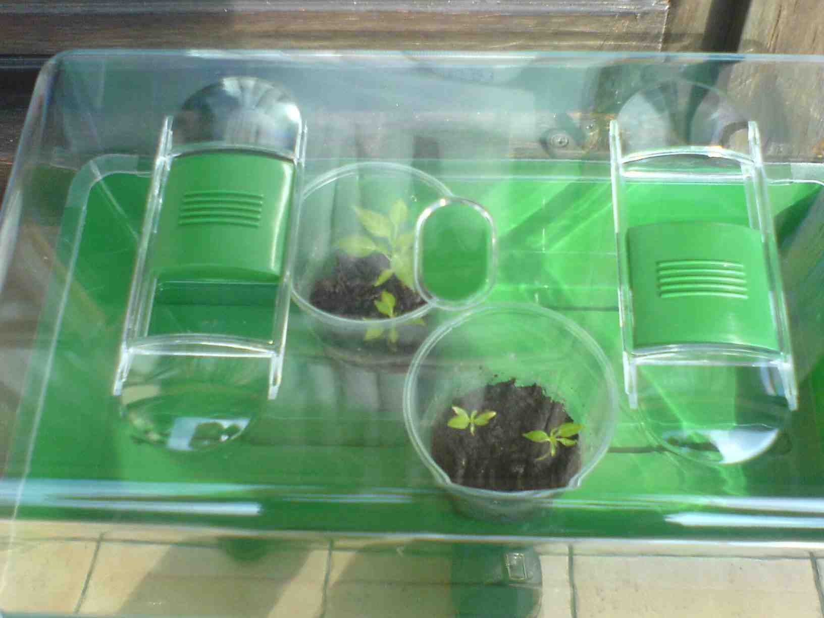 2012-03-10 Balkon 2.JPG