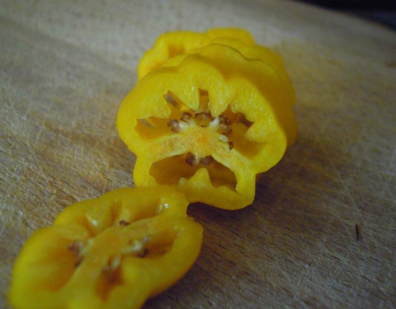 2012_Fatalii_19.jpg