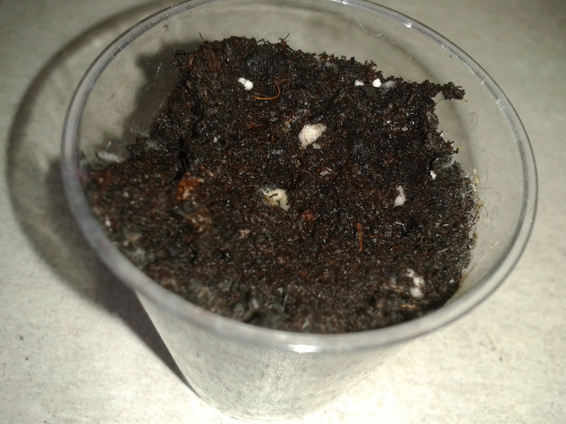 2013-02-2414.22.10mfcip.jpg