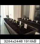 20130310_013146vsuqw.jpg