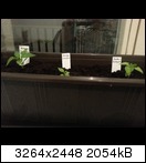 20130310_01374274uzr.jpg