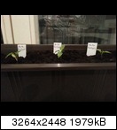 20130310_0138426ausf.jpg
