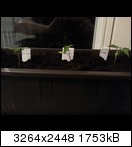 20130310_0140097nuq6.jpg