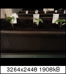 20130310_014036u6u2p.jpg
