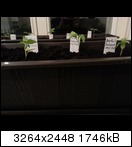 20130310_014103kxukg.jpg