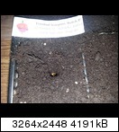 20130310_2124500qjiw.jpg