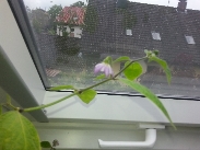 20130531_125308.jpg