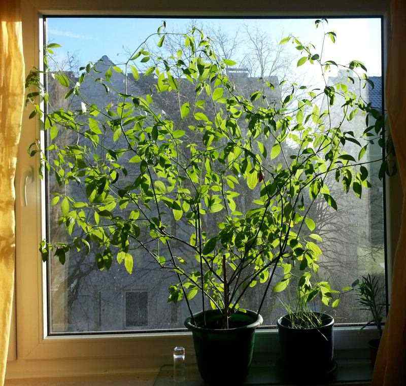 20150228_web.jpg