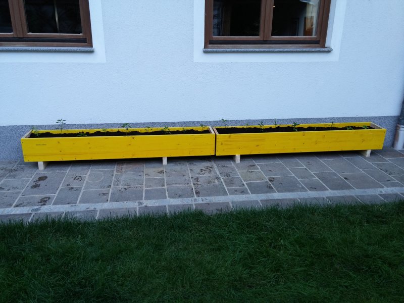 20160602_195857.jpg