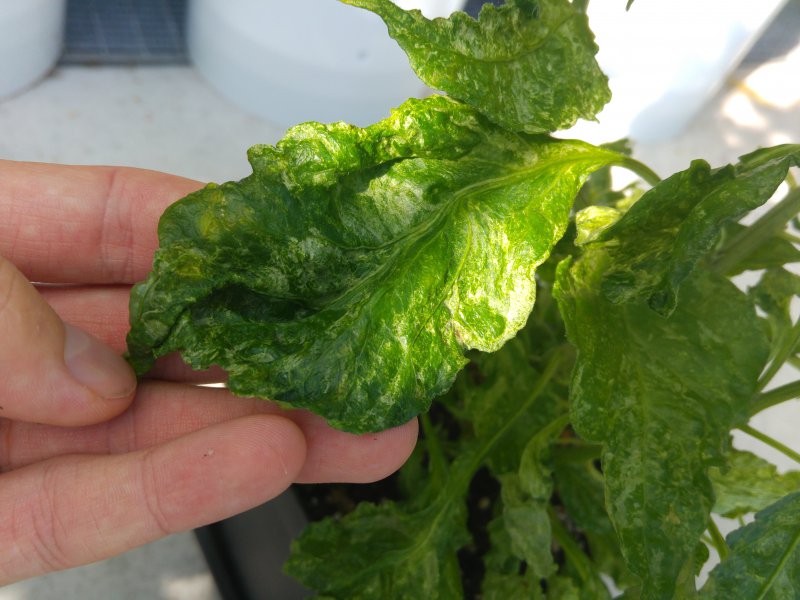 20160725_172906.jpg