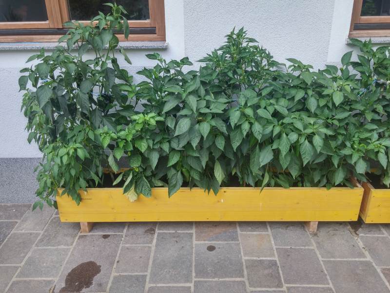 20160822_173621_HDR.jpg