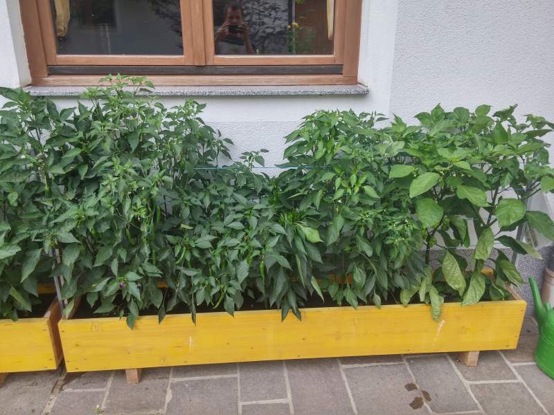 20160822_173626_HDR.jpg