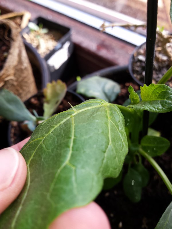 20170315_143941.jpg