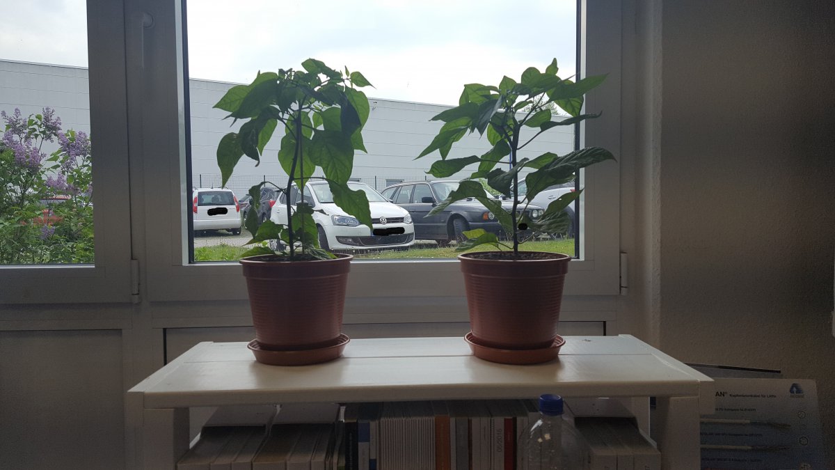 20170518_162020.jpg