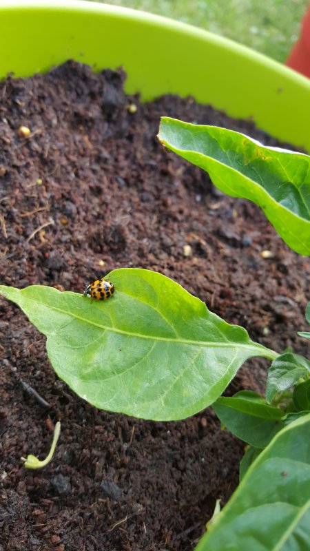 20170623_193913.jpg