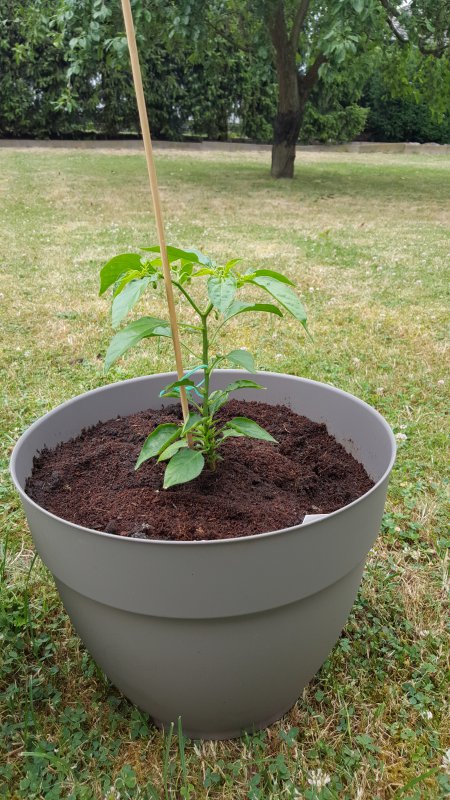 20170627_185213.jpg