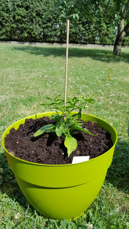 20170705_113331.jpg
