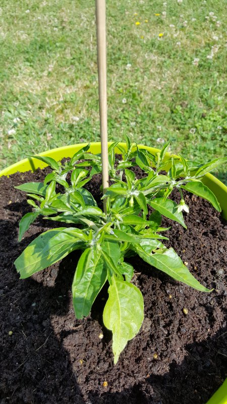 20170705_113338.jpg
