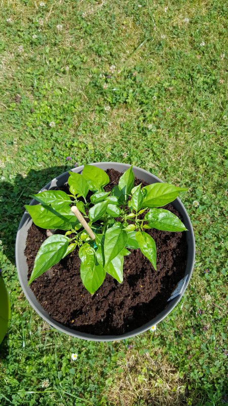 20170705_113423.jpg
