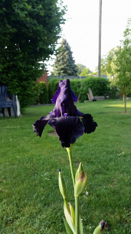 2018-05-13 11.42.28.jpg
