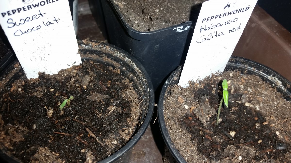 20180313_230932.jpg