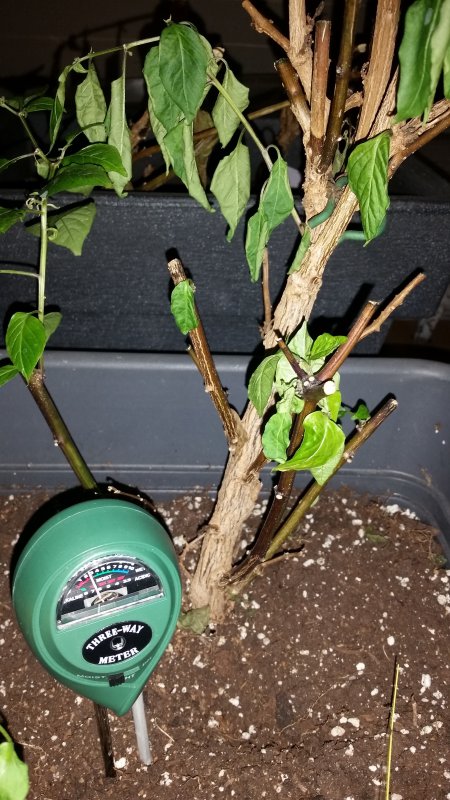 20180313_231046.jpg