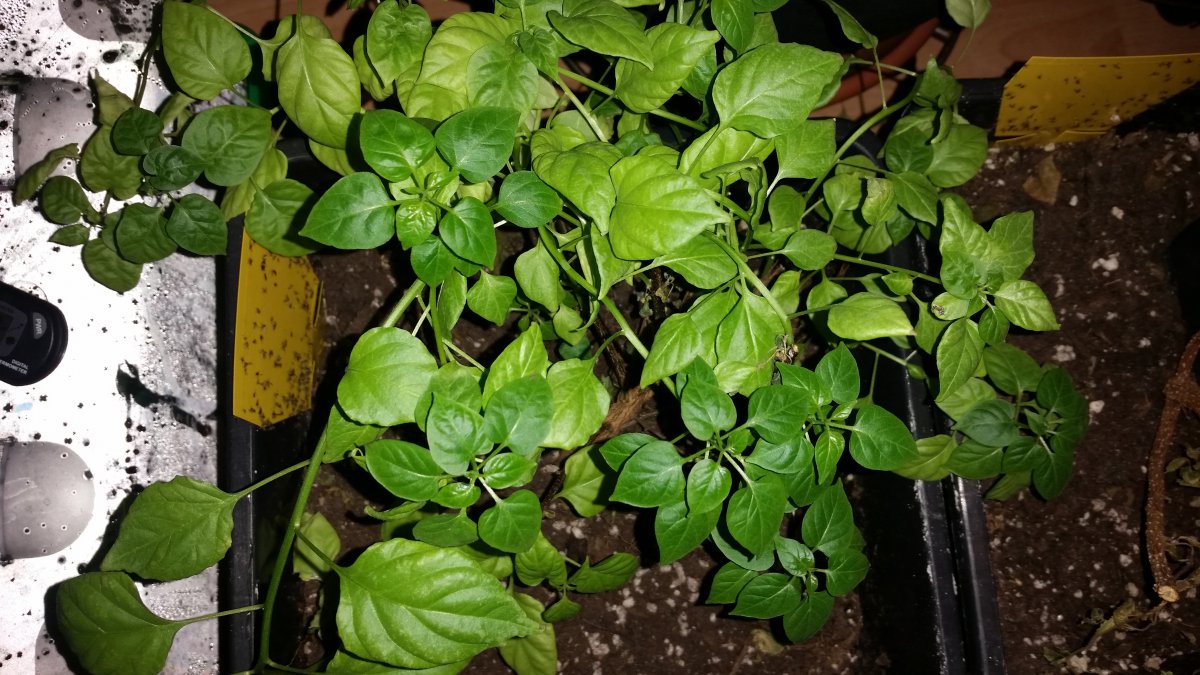20180313_231349.jpg