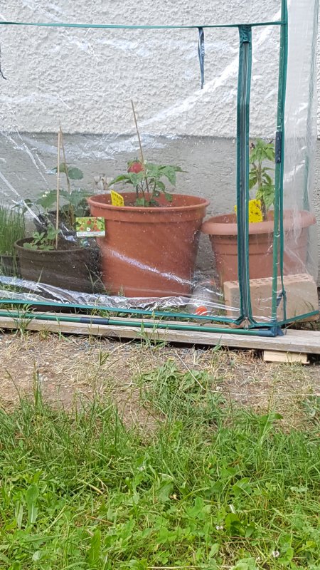 20180601_180316.jpg