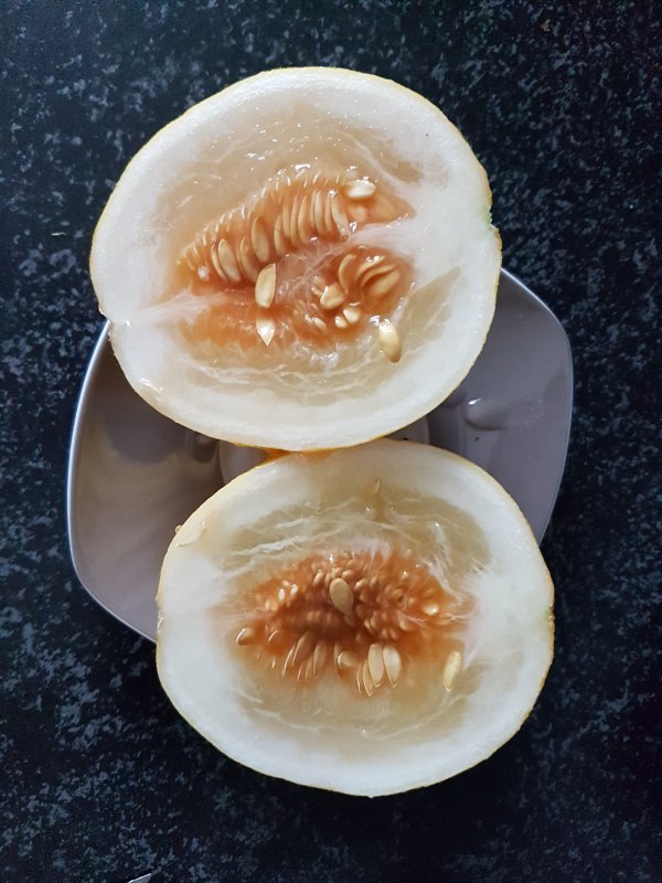 20180801_085003.jpg