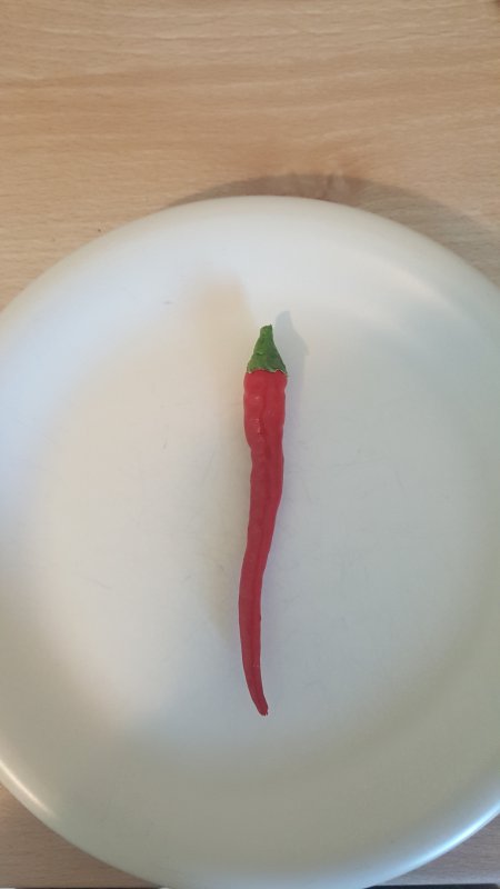 20180803_111732.jpg