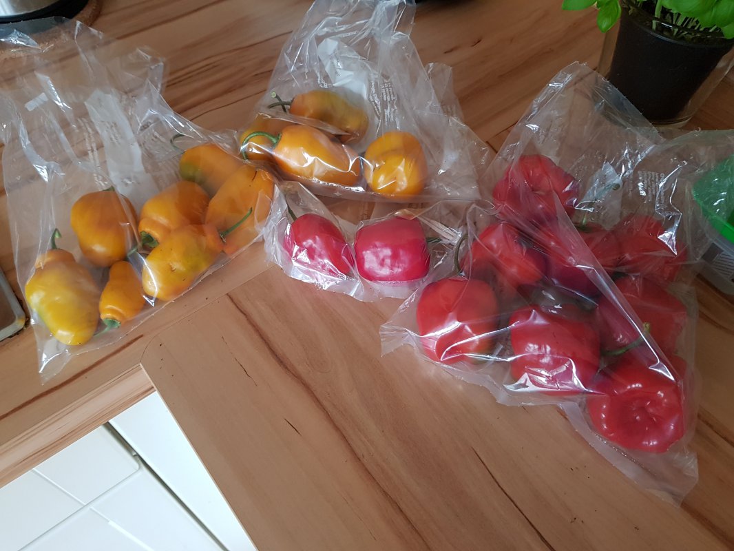 20180813_114258.jpg