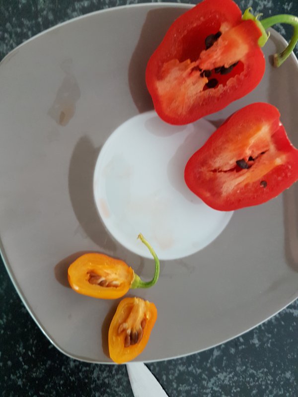 20180816_181418.jpg