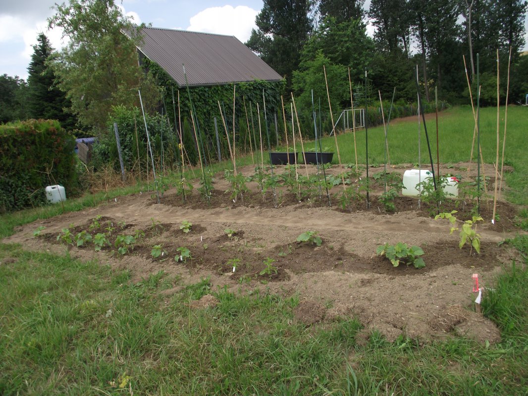 2018_0707IPK-ProjektChilis0020.JPG