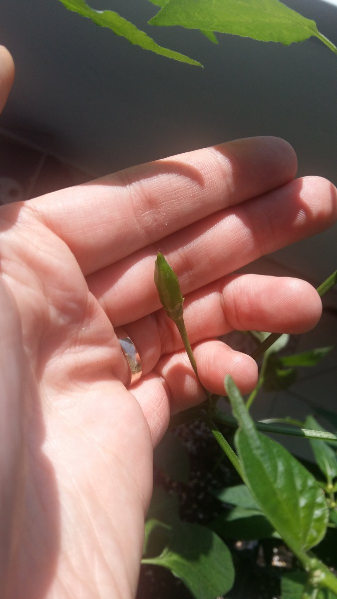 20190421_121844.jpg
